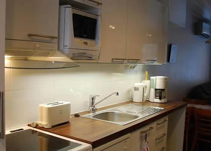 Spa Ikaalisten Kylpylae 아파트 *